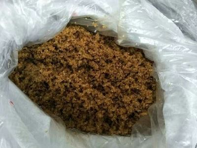 健康健康健康